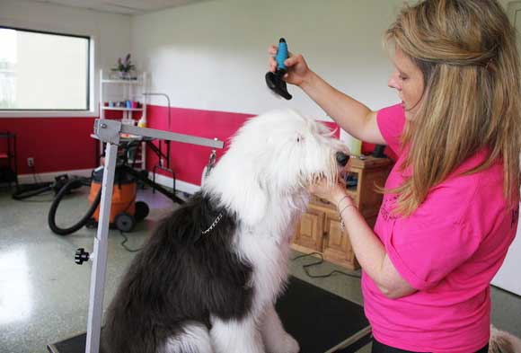 Read about us on Hartland Patch