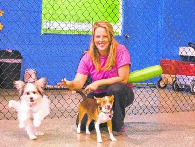 Animal Crackers Featured in Daily Press & Argus