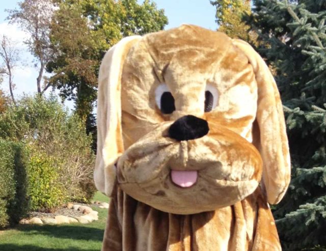 Have you noticed the new DOG in town?