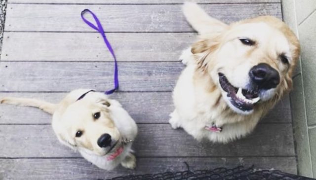 COVID-19 “Shelter in Place” Policy