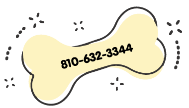 https://staging.animalcrackershartland.com/wp-content/uploads/2021/07/yellow_bone_phone_380x220.png