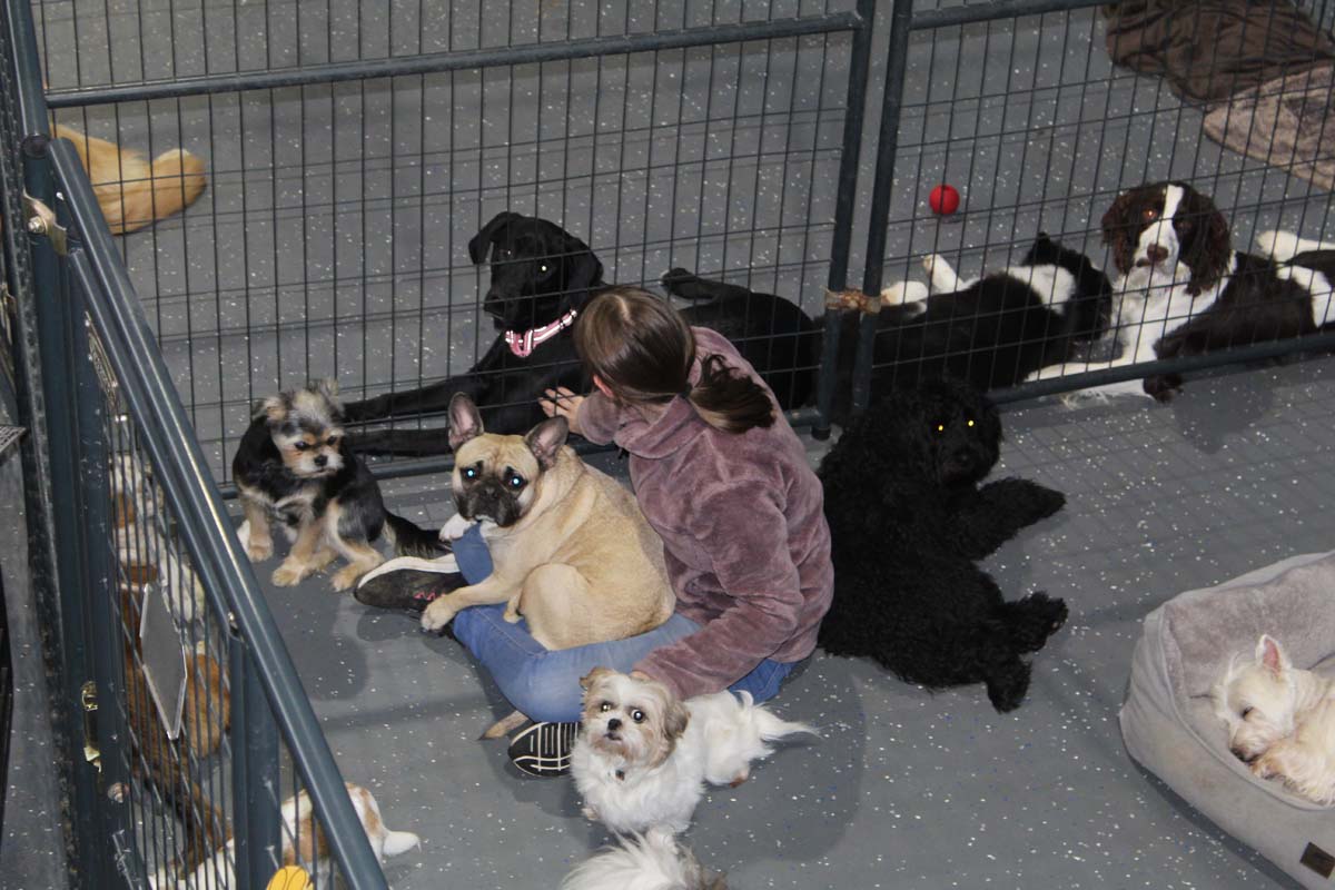 IMG_1445_1 IMG_1445_1