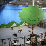 Animal Crackers Hartland Boarding