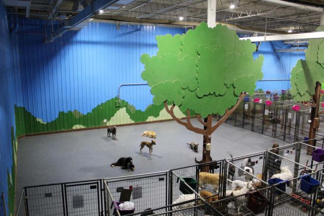 Frequently Asked Boarding Questions