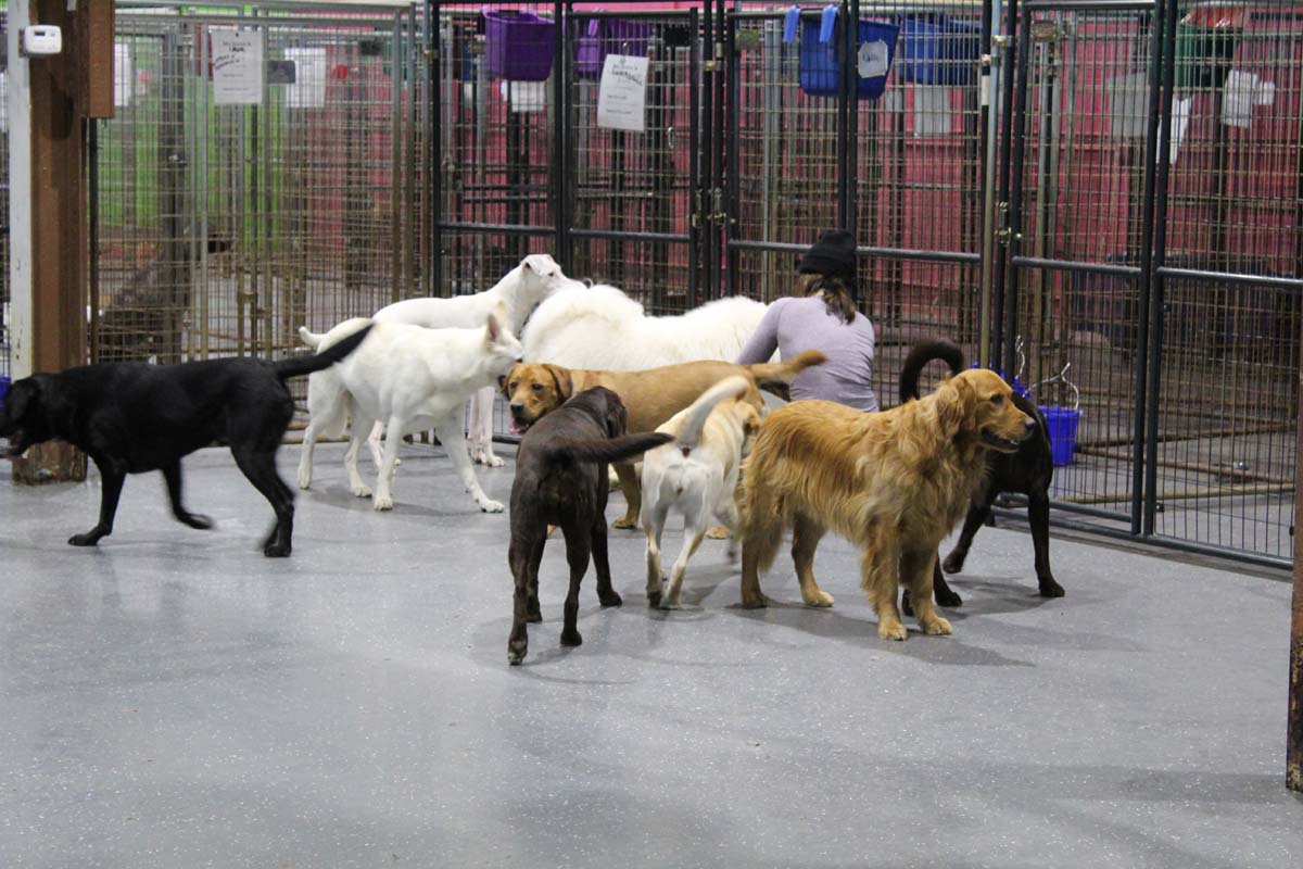 IMG_1515_1 IMG_1515_1