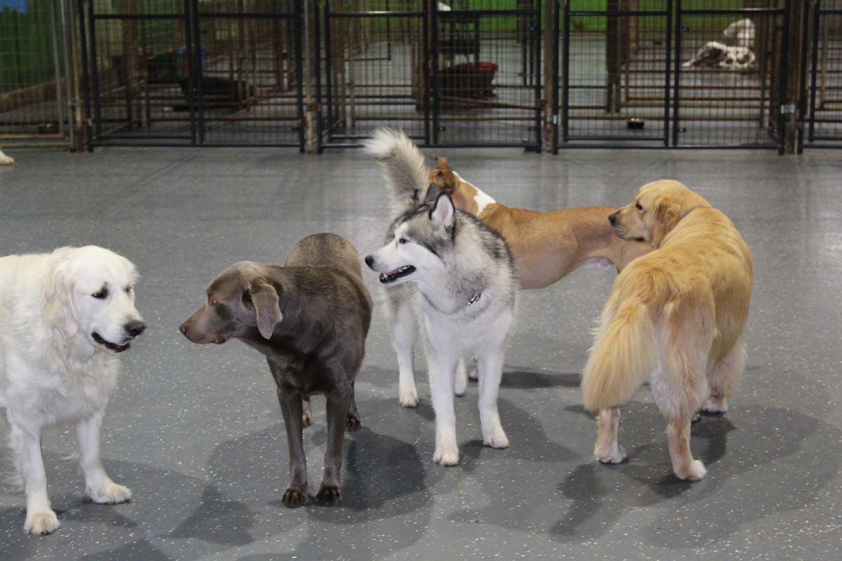 IMG_1524_1 IMG_1524_1