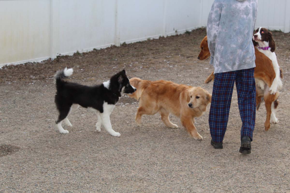 IMG_1583_1 IMG_1583_1