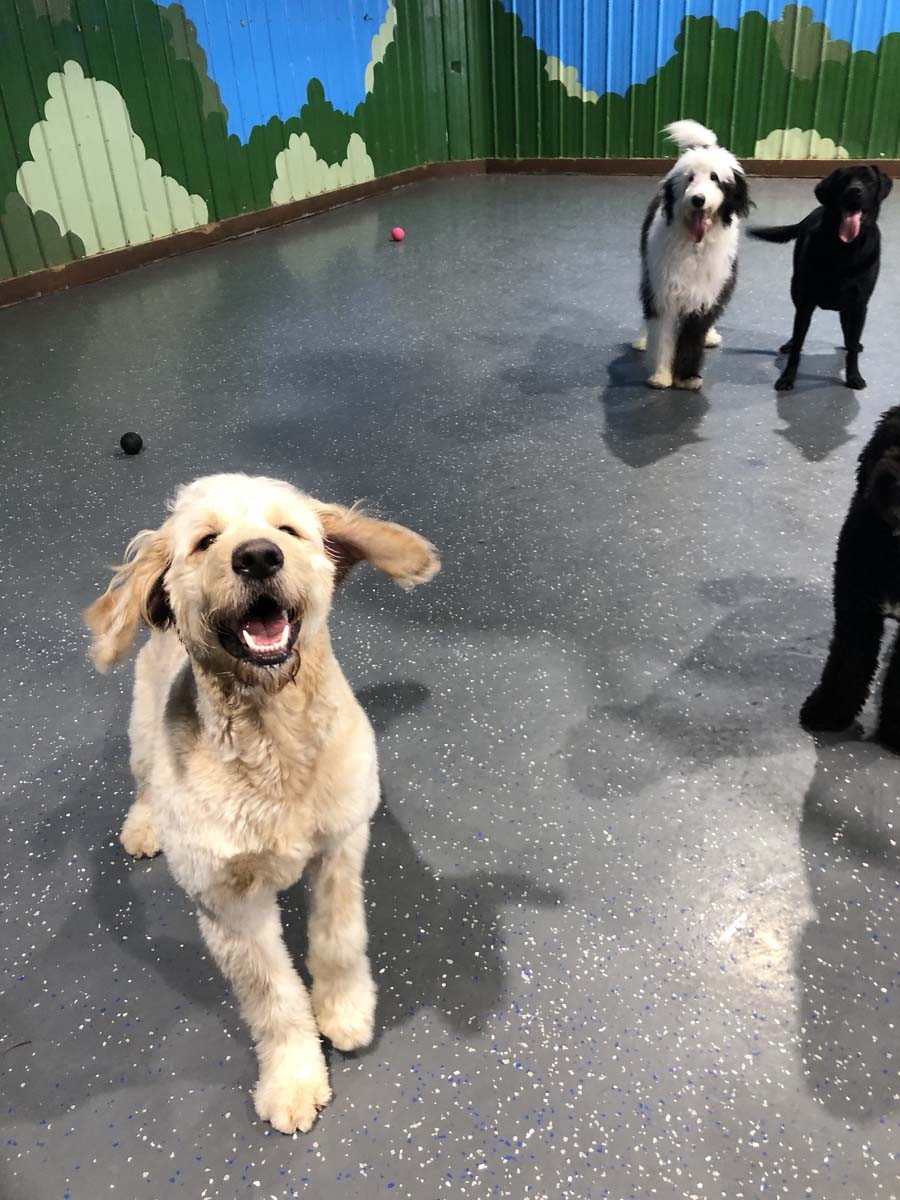 IMG_2181_1 IMG_2181_1