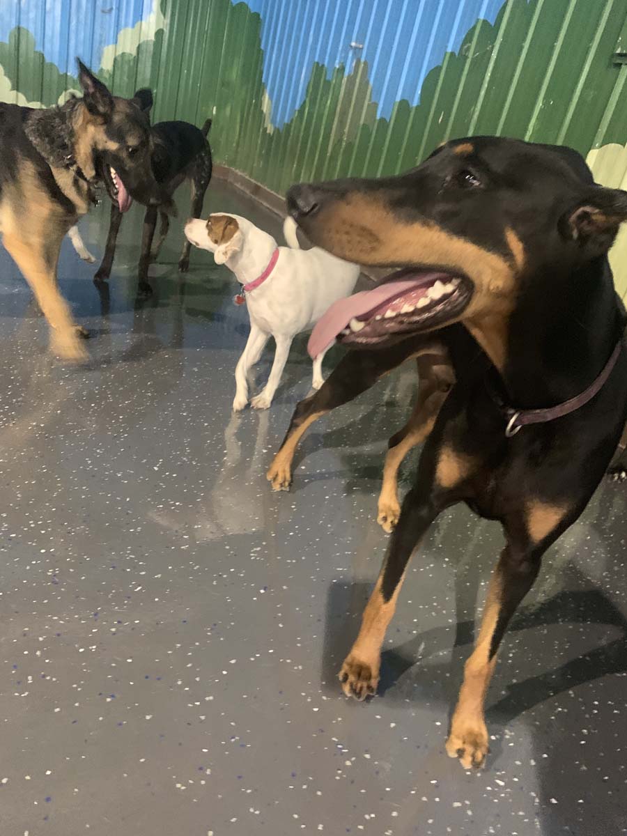 IMG_6458_1 IMG_6458_1