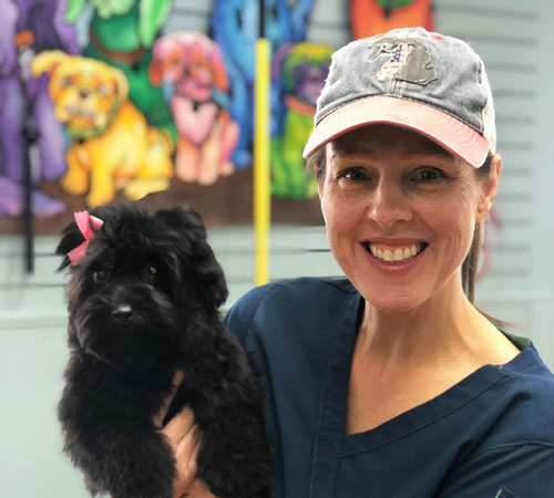 Frequently Asked Grooming Questions