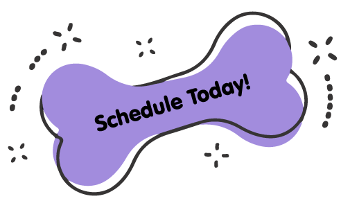 https://staging.animalcrackershartland.com/wp-content/uploads/2021/09/Schedule-Today-Purple-Bone-1.png