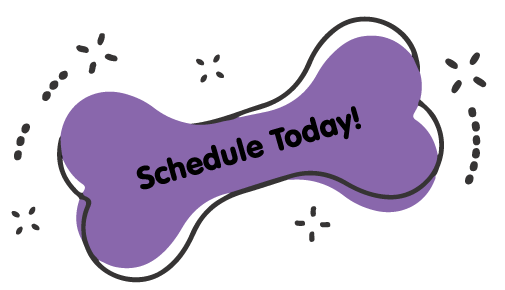 https://staging.animalcrackershartland.com/wp-content/uploads/2021/09/Schedule-Today-Purple-Bone.png