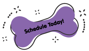 https://staging.animalcrackershartland.com/wp-content/uploads/2021/09/book-today-purple-bone.png